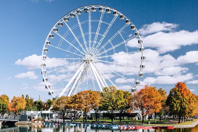 Montréal Scavenger Hunt and City Highlights Walking Tour - Who Should Consider This Tour?