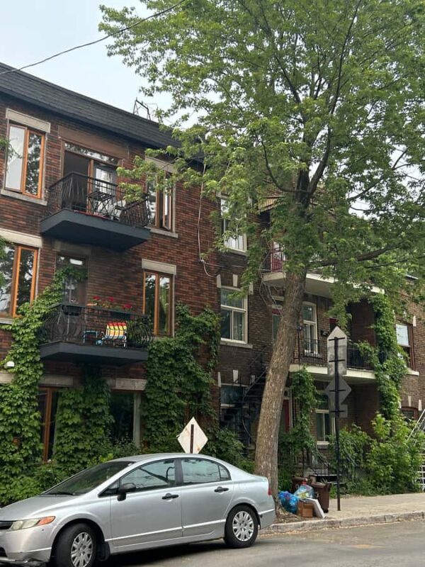 Montreal: Secondhand Shopping Tour with a Local - The Value for Shoppers