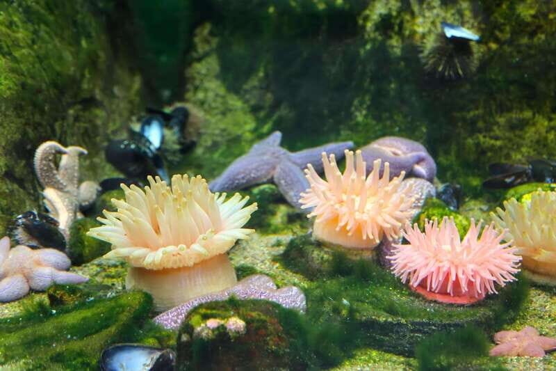 Montreal: Skip-the-line Biodome Private Tour with Tickets - Key Points