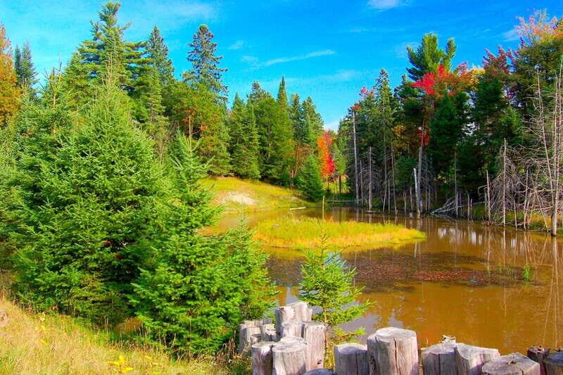 Montreal: Skip-the-line Biodome Private Tour with Tickets - Practical Considerations