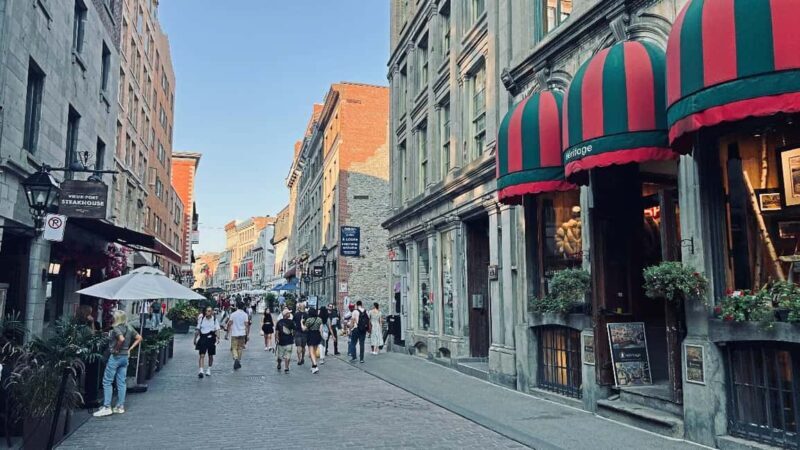 Montreal: Walking Tour 2h Downtown, RESO and Old Montreal - Who Will Love This Tour?