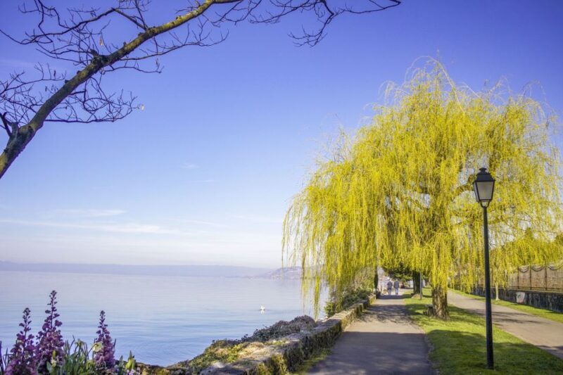 Montreux: Express Walk with a Local in 60 minutes - Key Points