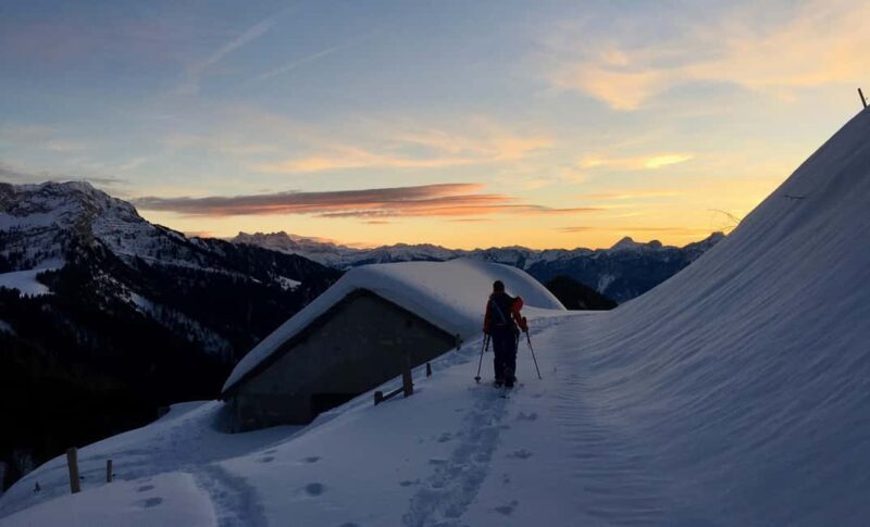 Montreux: Snowshoe Trek with Fondue and Wine - What to Expect on the Snowshoe Trek