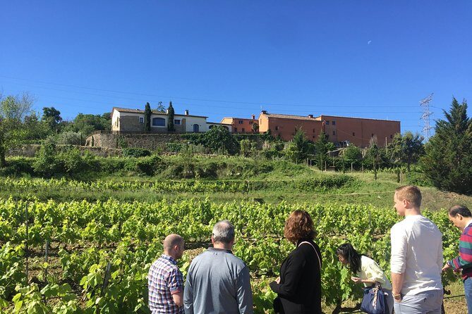 Montserrat & best winery private tour experience with a local expertise - FAQs