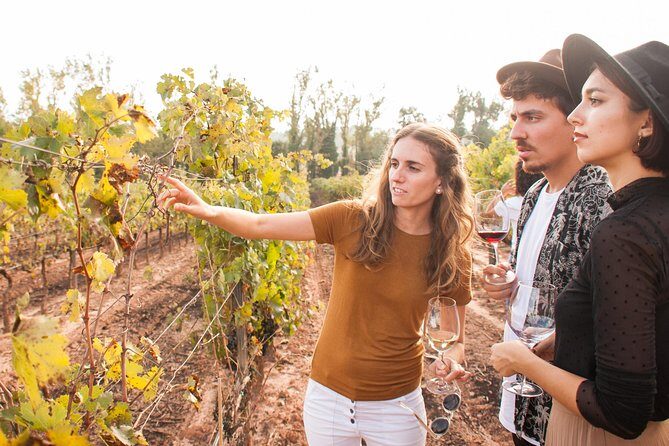 Montserrat & Cogwheel Train, Gourmet Wine Tasting & Tapas/Lunch - Sources & Additional Links