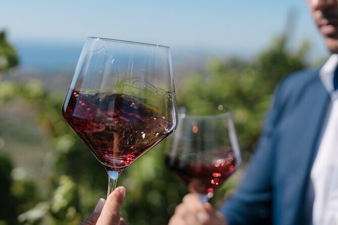 Montserrat Full Day Tour With Wine gourmet Lunch - Key Points