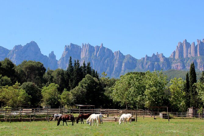 Montserrat Horseback Riding & Monastery Small Group Tour - The Itinerary in Detail