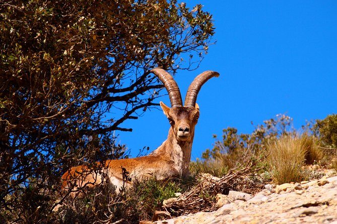 Montserrat Monastery with Easy Hike & Sitges Tour from Barcelona - Final thoughts