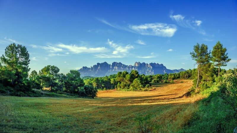 Montserrat: Private Half-Day Tour from Barcelona - What Is This Tour All About?