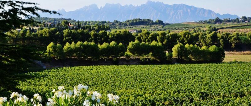 Montserrat: Private Half-Day Tour from Barcelona - Final Thoughts