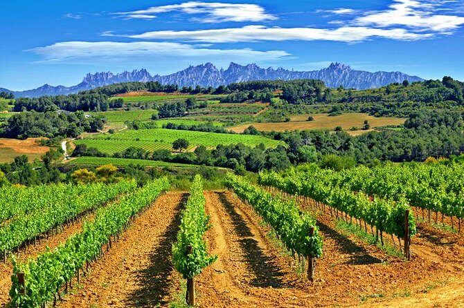 Montserrat,Vineyard, Wine Tasting Small Group Tour & Hotel Pickup - The Practical Side: What’s Included and What’s Not