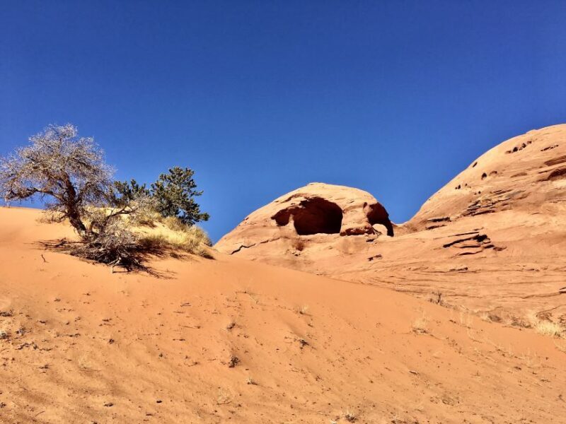 Monument Valley: 2.5-hour Mystery Valley Tour - What the Reviews Say