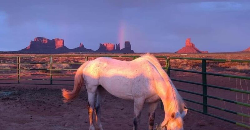Monument Valley: Horseback Adventure Tour - Introducing the Monument Valley Horseback Tour