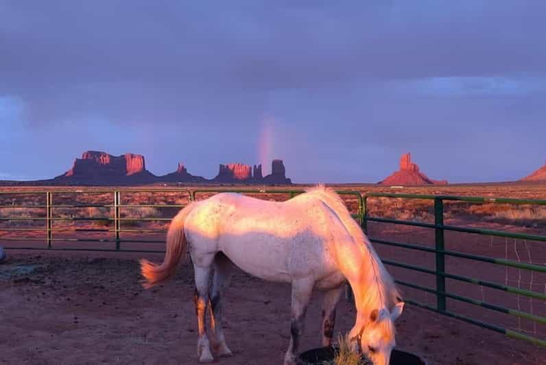 Monument Valley: Horseback Adventure Tour - What to Expect During the Ride