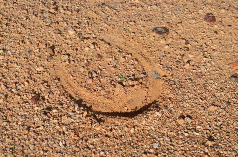 Monument Valley: Horseback Adventure Tour - Frequently Asked Questions