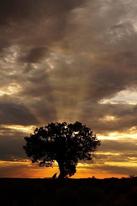 Monument Valley: Scenic 3.5-Hour Cultural Tour - FAQ