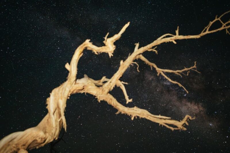 Monument Valley: Stargazing Tour - Key Points