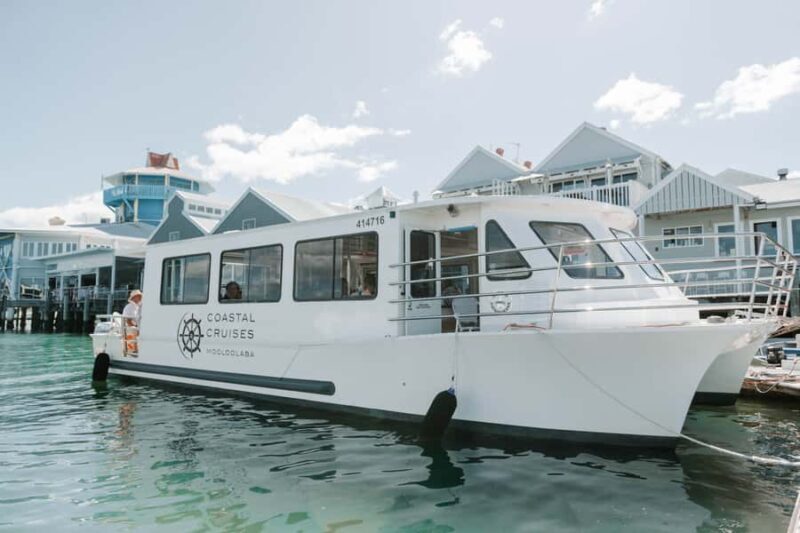 Mooloolaba: Seafood Lunch Cruise - Key Points