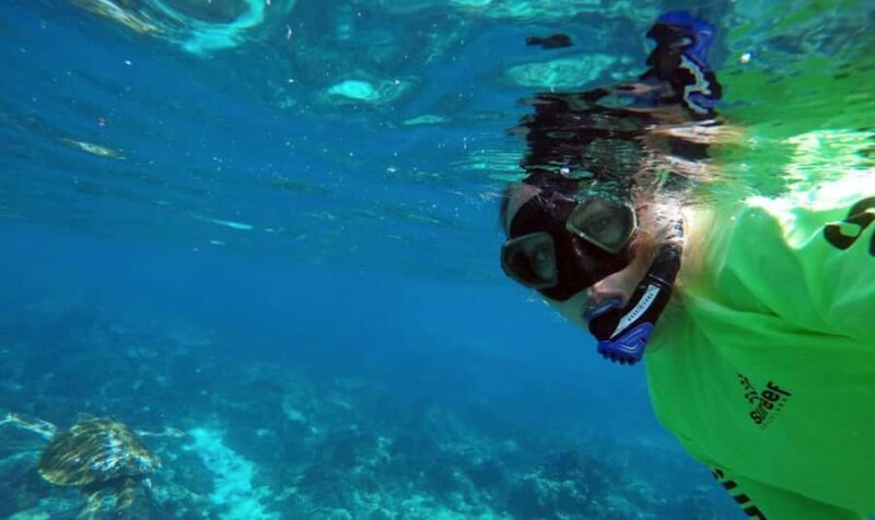 Mooloolaba: Snorkel with Turtles Mudjimba Island - Final Thoughts