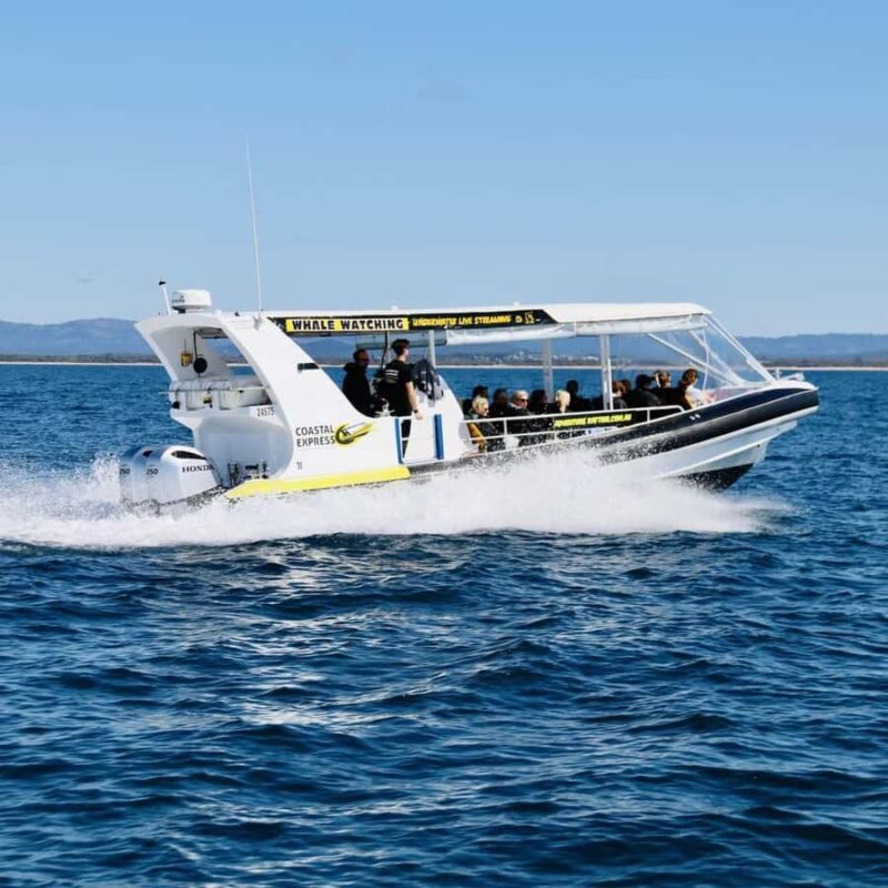 Mooloolaba: Whale Watching Cruise - What Reviewers Say