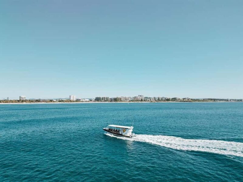 Mooloolaba: Whale Watching Cruise - The Sum Up