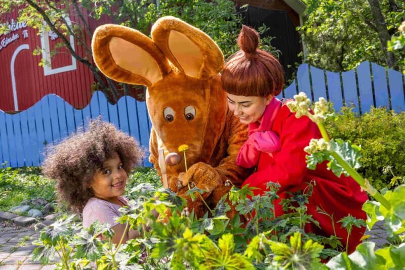 Moominworld Ticket for one day - What to Expect at Moominworld