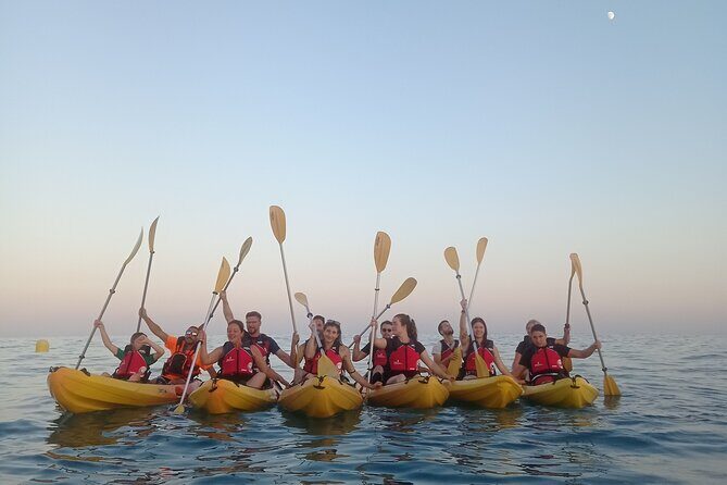 Moonlight Kayak with Dinner Included - An Overview of the Experience