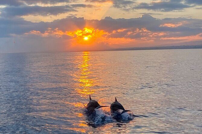 Moonlight & Music Sunset Cruise (BYOB) - Who Should Consider This Tour?