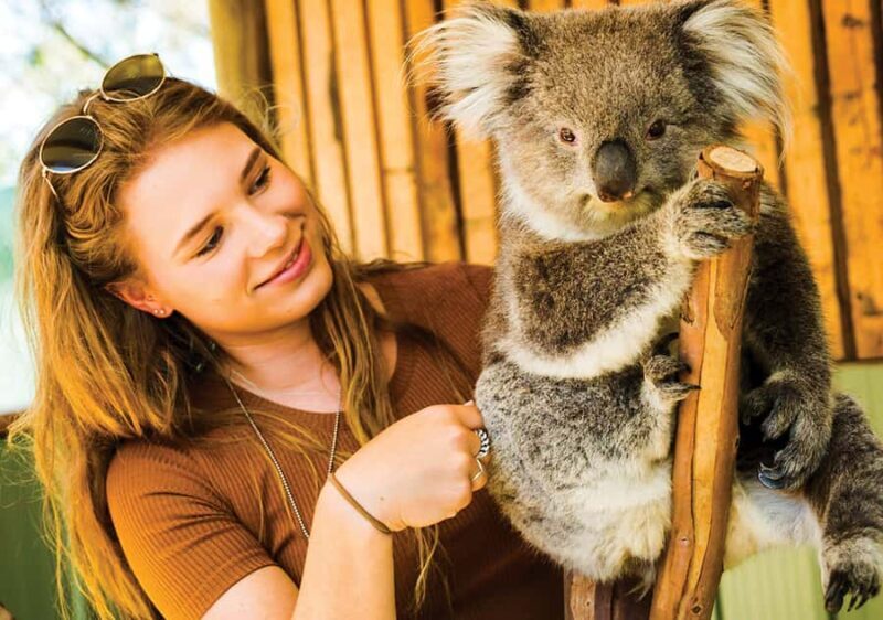 Moonlit Sanctuary Conservation Park Entry Ticket - What to Expect During Your Visit