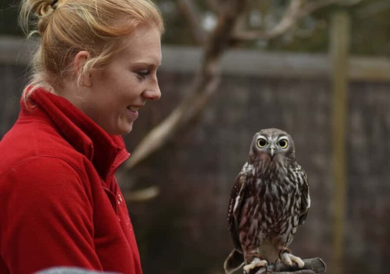 Moonlit Sanctuary Conservation Park Entry Ticket - What Could Be Better?