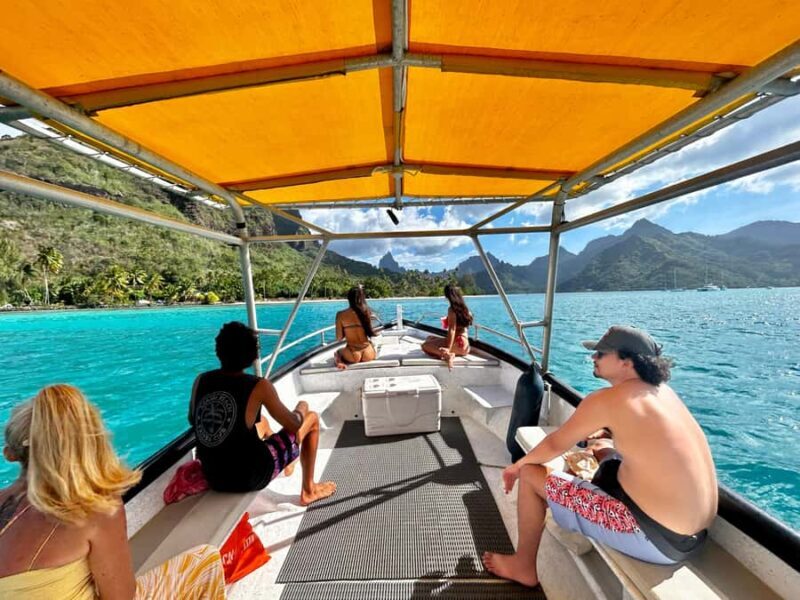 Moorea 4H Shared Boat Tour Whale Swimming and Snorkeling - The Practical Side: Transport, Duration, and Costs