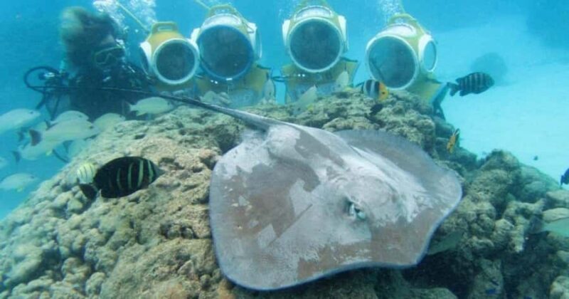 Moorea: Aquablue Helmet Underwater Walking Experience - The Underwater Experience