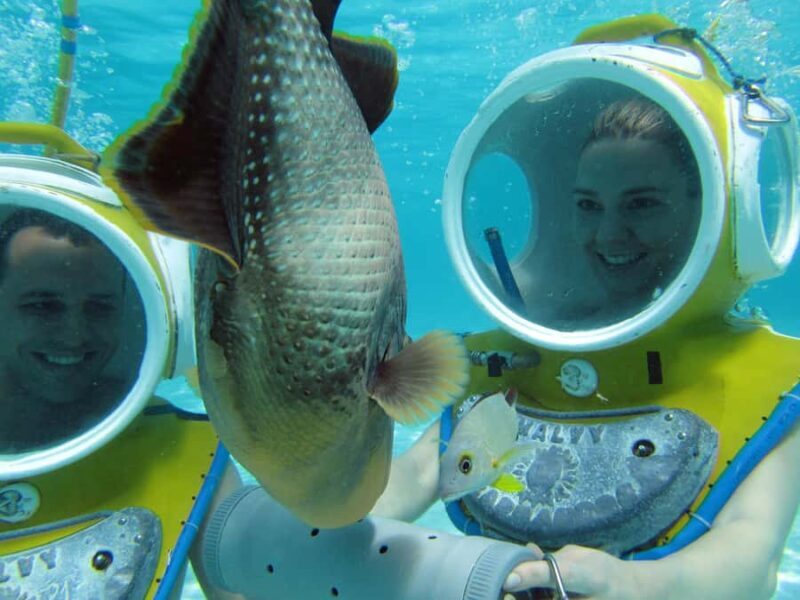Moorea: Aquablue Helmet Underwater Walking Experience - What’s Included and What to Bring