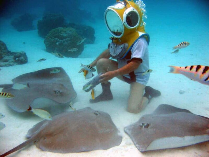Moorea: Aquablue Helmet Underwater Walking Experience - Who Will Love This Activity?
