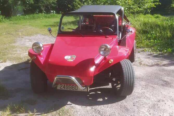 Moorea Buggy Rental - Key Points