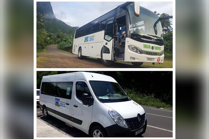 Moorea Buggy Rental - The Sum Up