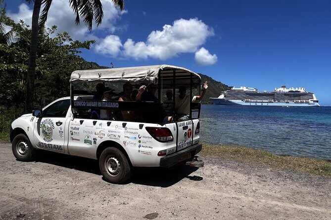 Moorea Cruise Ships: 4x4, Belvedere, Pineapple, & Magic Mountain - What the Tour Entails: An In-Depth Look