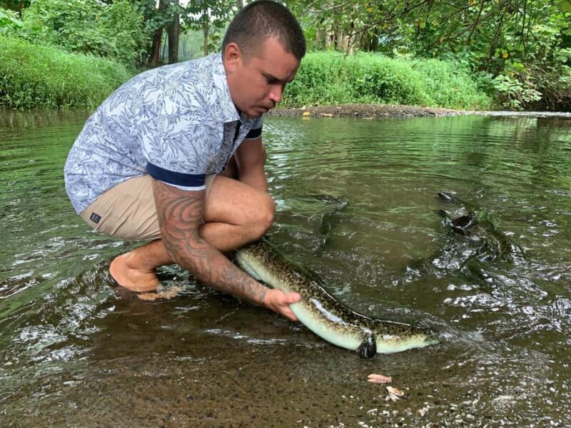 Moorea Cruise Ships: 4x4, Belvedere,Magic Mountain pineaple - FAQs