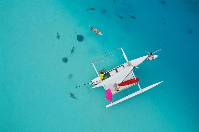 Moorea Discovery Half-day Sailing - Key Points