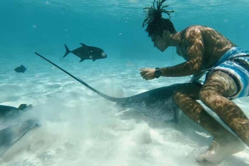 Moorea: Glass Bottom Boat Adventure with Lagoon Wonders - Key Points