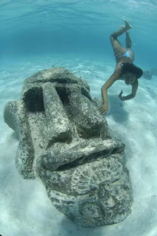 Moorea: Glass Bottom Boat Adventure with Lagoon Wonders - The Sum Up