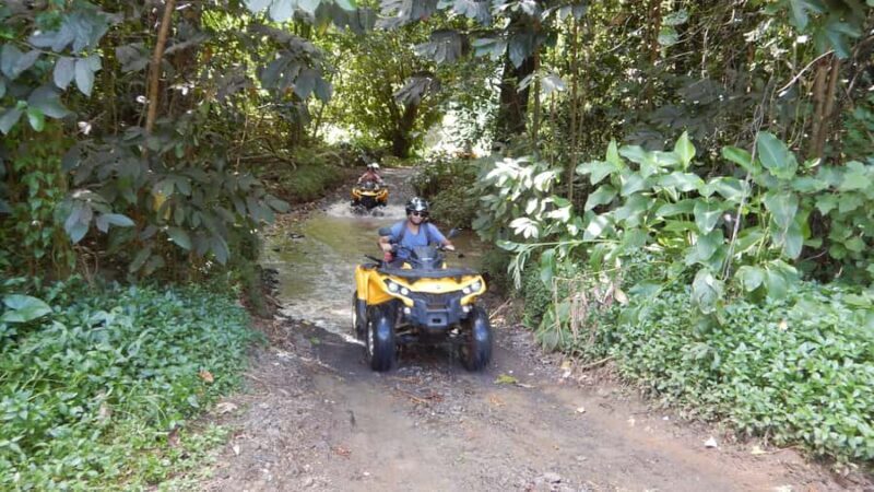 Mo'orea: Guided ATV Nature Tour - Key Points