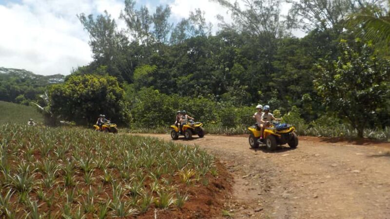 Mo'orea: Guided ATV Nature Tour - The Experience Breakdown