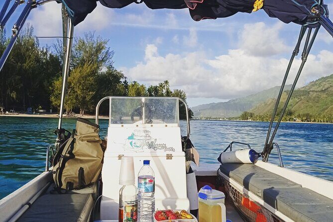 Mo'orea Half Day Private Tour with Snorkeling and Cruising the Lagoon - Who Should Consider This Tour?