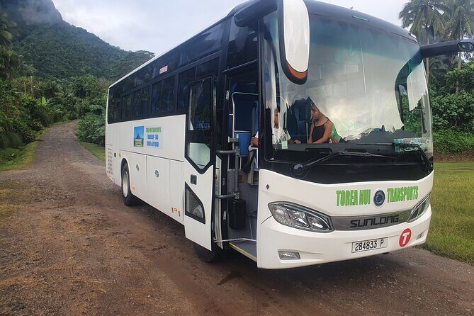 Moorea Island Tour - What to Expect from the Tour