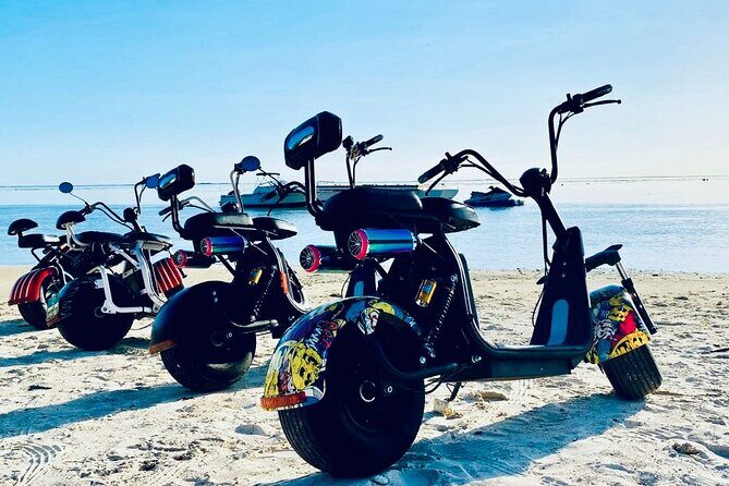 Moorea Island Tour - Who Is This Tour Best For?