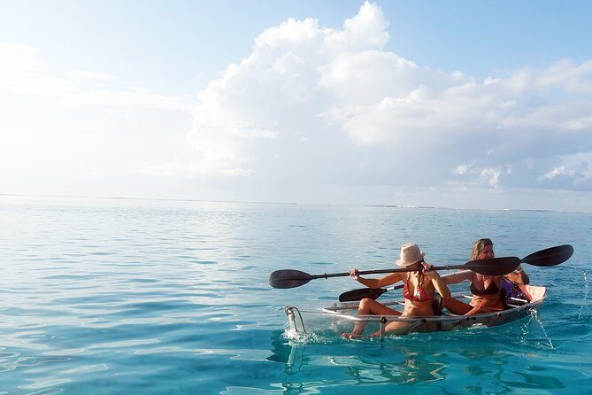 Moorea Lagoon Tour by Transparent Kayak - Who Will Love This Tour?