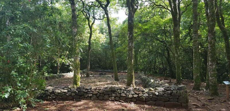 Moorea : Safari Nature and Culture Tour with local guide - Final Thoughts