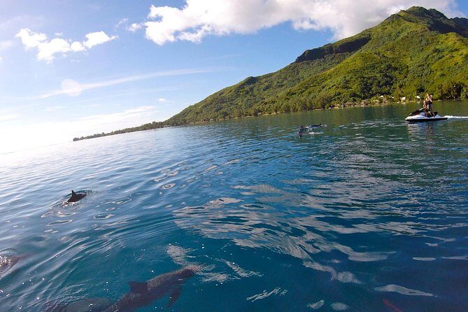 Moorea Solo or Twin 3 hours Jet Ski Tour - FAQs