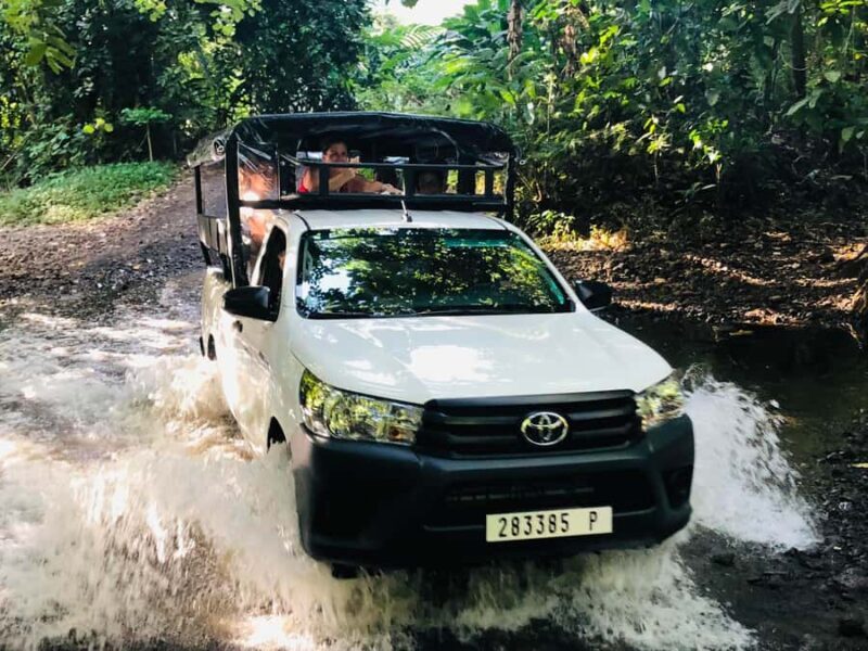 Moorea:4X4 safari excursion between land and sea with lunch - Key Points